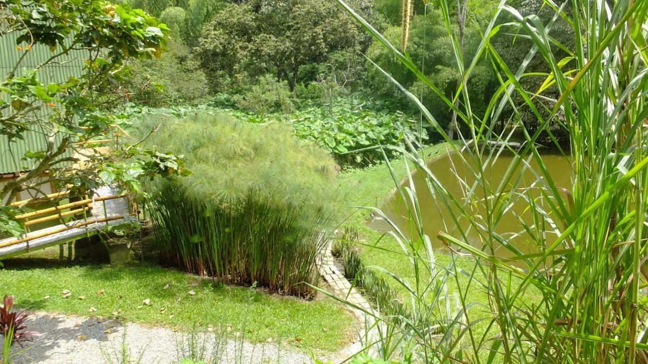 Sonarte Reserva Natural Cordoba  Exterior foto